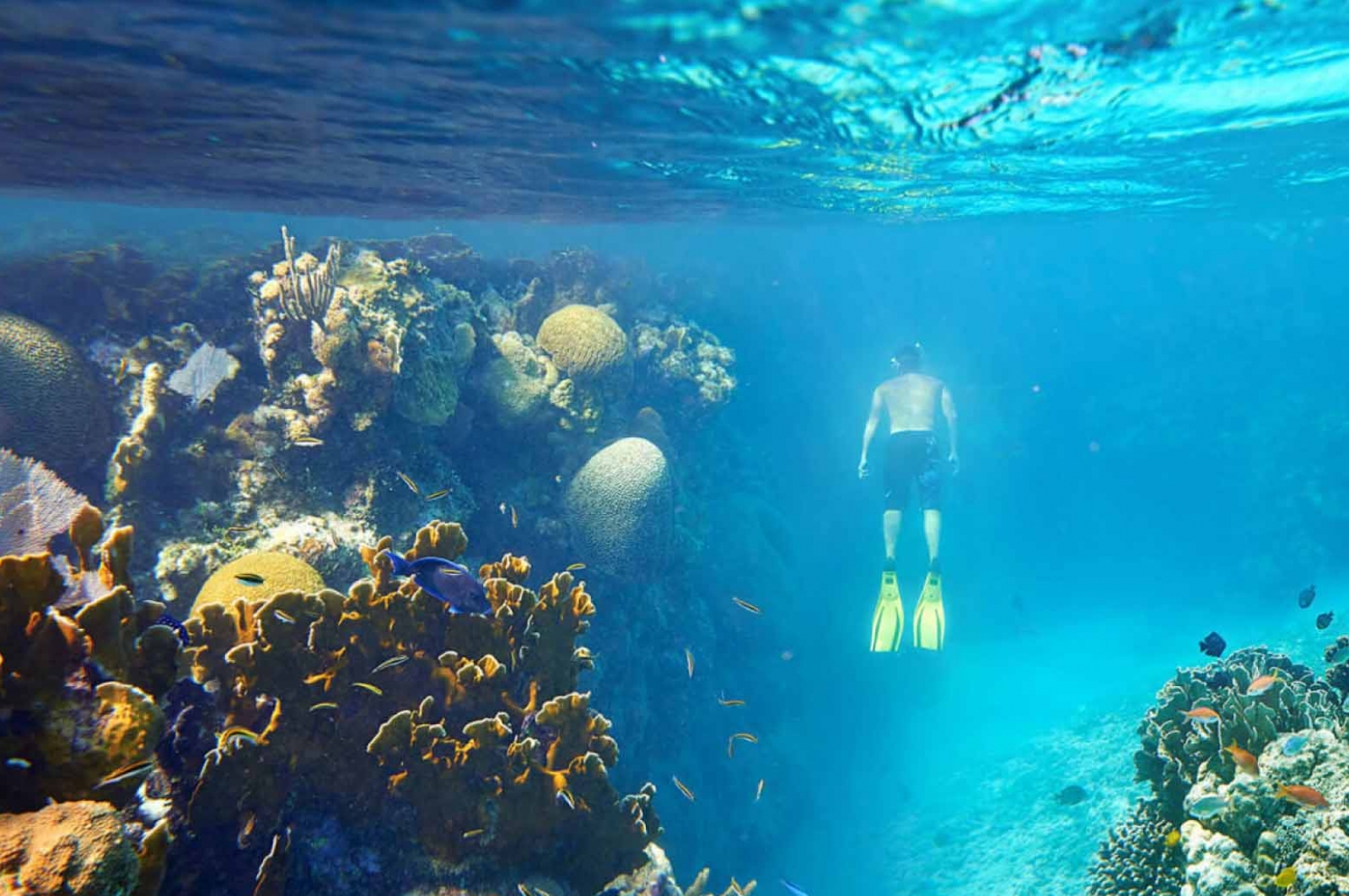 Scuba diving at Pulau Payar Marine Park, Langkawi Island, Malaysia