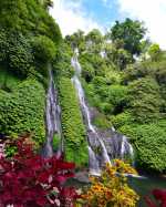 Travel Banyumala Waterfall