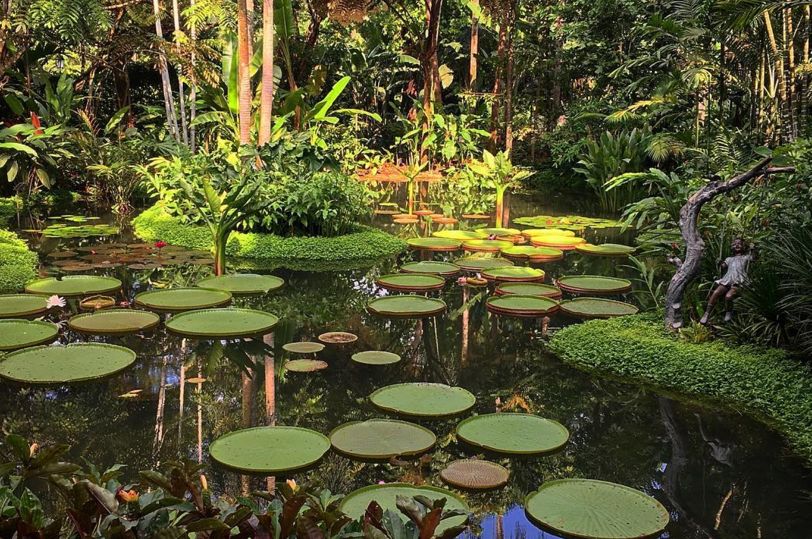 Singapore Botanic Gardens, Central Singapore, Singapore | Gokayu, Your