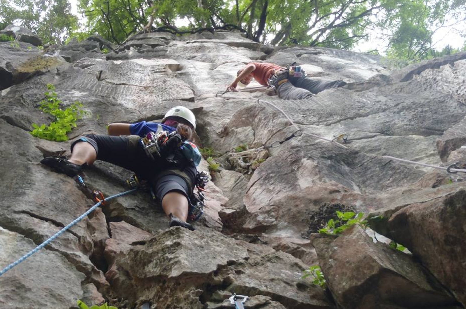 Rock climbing at Dairy Farm Nature Park, Bukit Timah ...