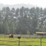Horse riding at De’ Ranch Lembang