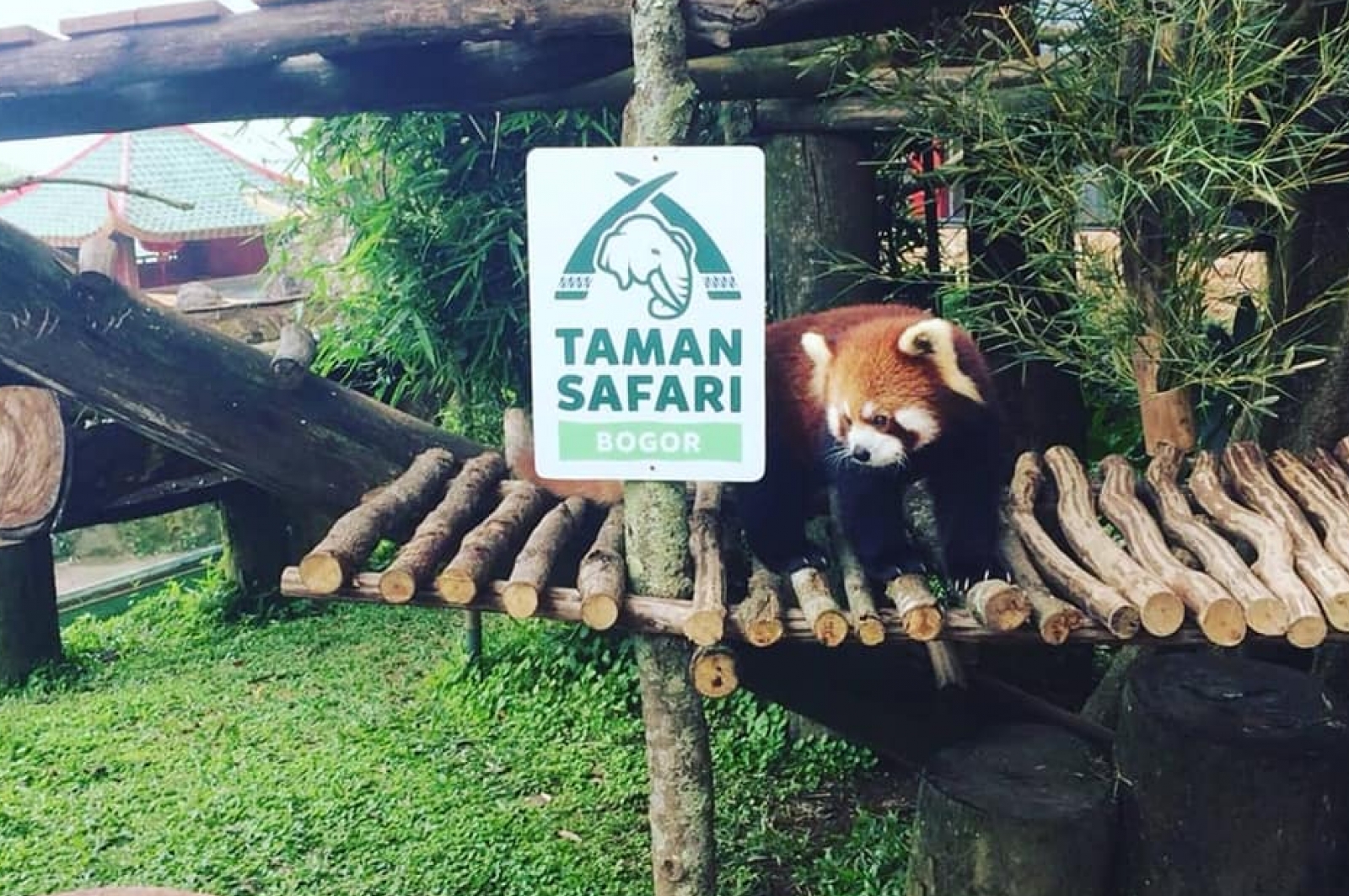 Taman Safari Indonesia Bogor Jakarta Indonesia Gokayu