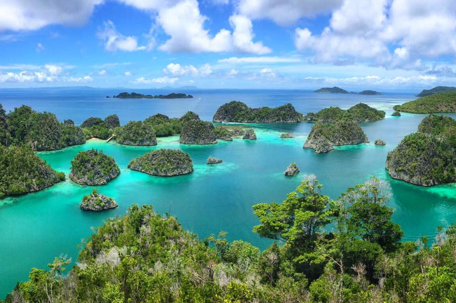 Pianemo Islands  Raja Ampat Islands Indonesia  Gokayu 
