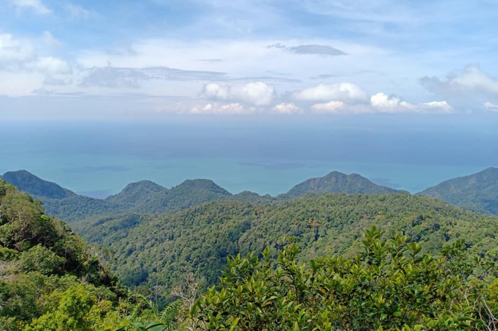 Hiking At Gunung Machinchang, Langkawi Island, Malaysia | Gokayu, Your ...