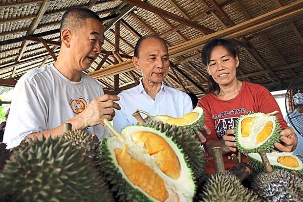 Eat And Stay At Bao Sheng Durian Farm Penang Malaysia Gokayu Your Travel Guide